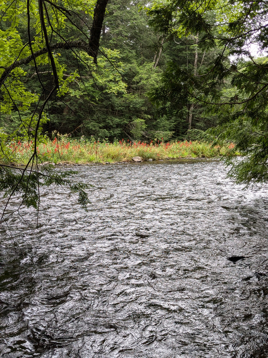 Small Town Natural: More floating adventures! Algonquin Highlands