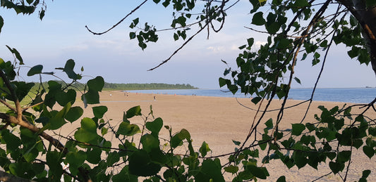 Small Town Natural Adventures in Southern Ontario ( Presque'ile Provincial Park)